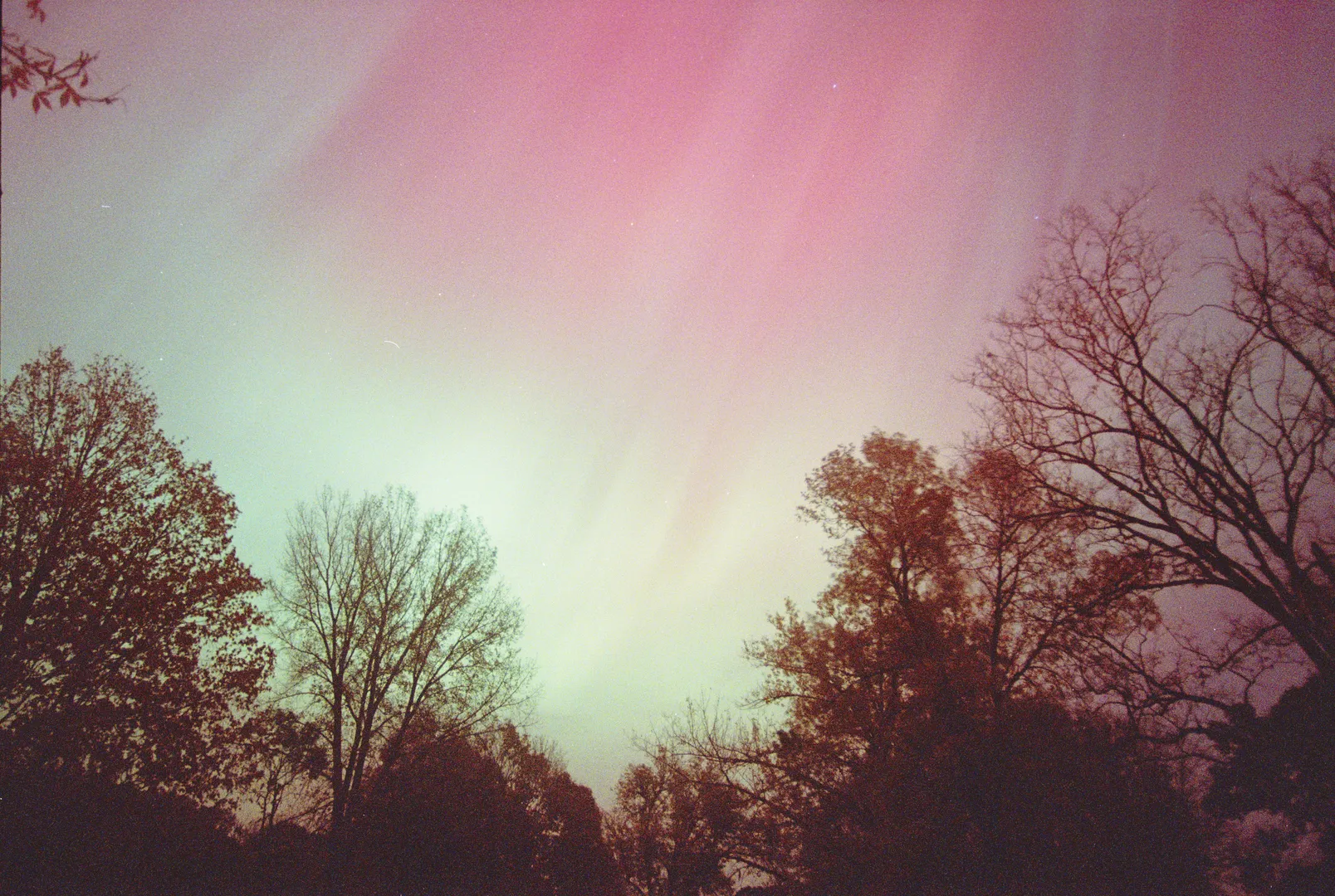 Red and green streaks of light are visible in the sky above tree cover. The streaks are faint but visible.